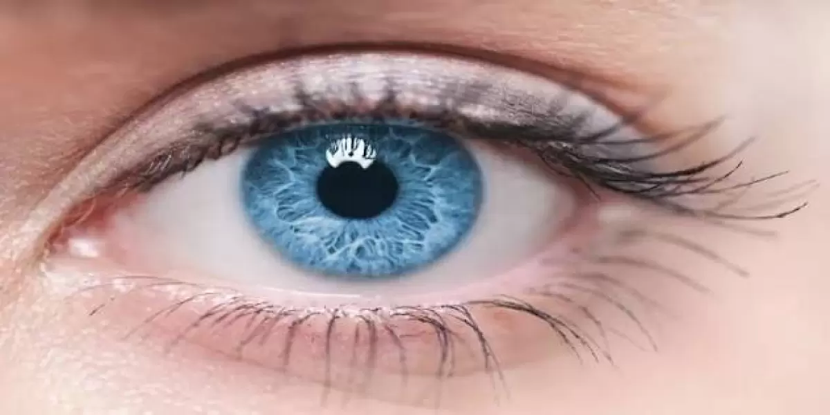 How to draw an eye using an academic approach.